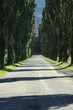 Allee