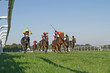 Galopp