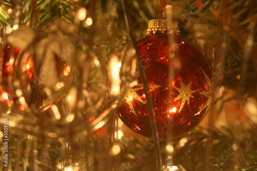 Photo: Weihnachtsbaum Weihnachtsbaum