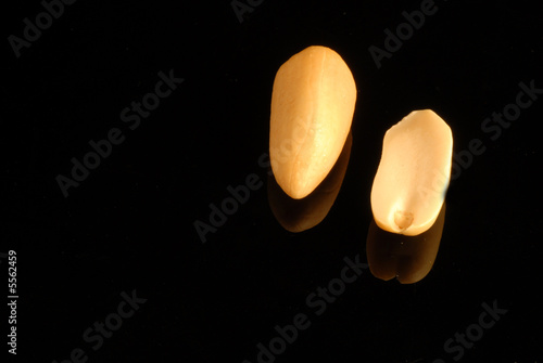nocciolina nocciolina