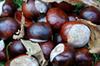 IMG_6389marrons