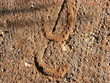 caballos