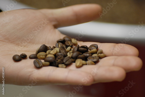 caffé caffé