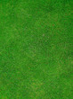 Green Grass giving a sports pitch field. Green Grass giving a sports pitch field.