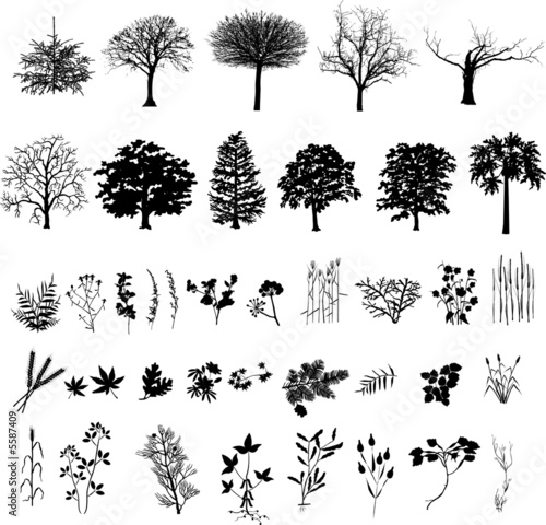 Illustration: Trees, plants and flower, black silhouette Trees, plants and flower, black silhouette