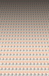 Rows of English 50 pound bank notes
