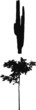 Tree Silhouettes c