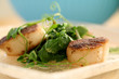 Seared Scallops and sauteed pea shoots 