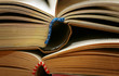 Two old books close up. With use of a macro-ring Two old books close up. With use of a macro-ring