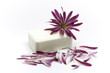 Seife mit Blume liegend Seife mit Blume liegend