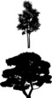 Tree Silhouettes g