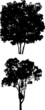 Tree Silhouettes h Tree Silhouettes h