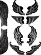 Twelve Sets of Angel Wings