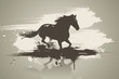 Photos : horse