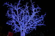2007-12-08 Strasbourg Marché de Noël 070 2007-12-08 Strasbourg Marché de Noël 070