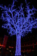 2007-12-08 Strasbourg Marché de Noël 069 2007-12-08 Strasbourg Marché de Noël 069