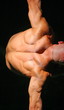 Muscular back of a man who practices sports