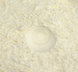 Imprint on the flour- snail