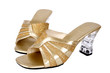 Ladies footwear isolated on white background.