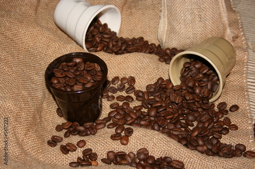 Photo: Le Café 1 Le Café 1