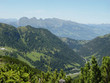 Natur pur