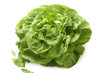 Ein frischer Kopfsalat vor weißem Hintergrund