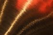Brass background with reflections.