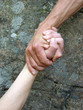 Hand 