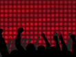Folla al concerto