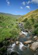 Stream near Kamberg in the Drakensberg mountains