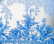 Ice flower 07