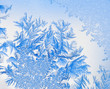 Ice flowers 10