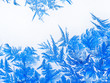 Ice flowers 17