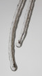 ice wrapped around a pair of stems