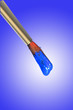 pigment