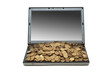 Internet commerce concept with coins and laptop