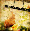 Quadro retro background with buttefly and film strip Quadro retro background with buttefly and film strip