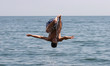nice summer flip to warm atlantic ocean