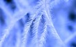 nice blue background