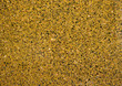 Tile on the basis of natural stone