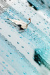 droplets and a leaf droplets and a leaf