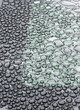 droplets on the glass droplets on the glass