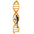 Climbing DNA Ladder