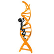 Climbing DNA Ladder