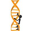 Climbing DNA Ladder