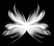 Abstract butterfly