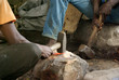 Forgerons du pays Dogon ( Mali ) Forgerons du pays Dogon ( Mali )