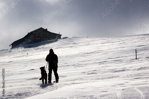 Photo: skitour mit hund skitour mit hund