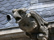 Gargouille Musée Lorrain Nancy