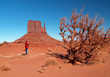 The Monument Valley in Arizona